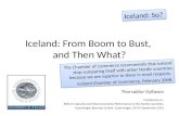 Iceland: From  Boom to  Bust,  and  Then What ?