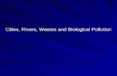 Cities, Rivers, Wastes and Biological Pollution