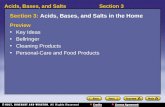 Section 3:  Acids, Bases, and Salts in the Home