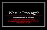 What is Ethology?
