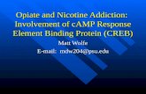 Opiate and Nicotine Addiction:  Involvement of cAMP Response Element Binding Protein (CREB)