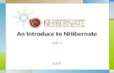 An Introduce to NHibernate