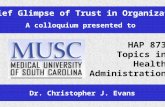 A Brief Glimpse of Trust in Organizations A colloquium presented to