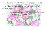 II. Overview of Photosynthesis (4.2) A.  Photosynthetic  organisms are  producers