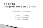 CS 2340 Programming in VB.NET