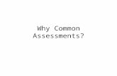 Why Common Assessments?