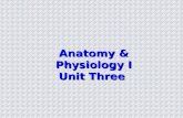 Anatomy & Physiology I Unit Three