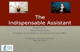The Indispensable Assistant