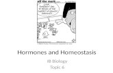 Hormones and Homeostasis