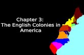 Chapter 3:  The English Colonies in America
