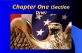 Chapter One  (Section One)