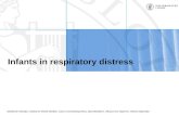 Infants in respiratory distress