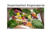 Supermarket Angiosperm