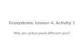 Ecosystems: Lesson 4, Activity 1