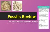 Fossils Review