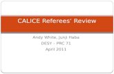 CALICE Referees’ Review