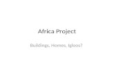 Africa Project