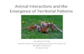 Animal Interactions and the Emergence of Territorial Patterns