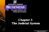 Chapter 3  The Judicial System
