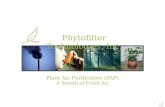 Plant Air Purification (PAP) A Breath of Fresh Air