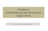 Module 3 Combinational and Sequential  Logic Circuit