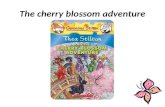 The cherry blossom adventure