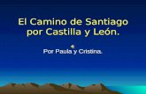 El Camino de Santiago por Castilla y León.