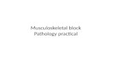 Musculoskeletal block  Pathology practical