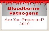 Bloodborne  Pathogens