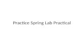 Practice Spring Lab Practical