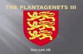 The Plantagenets  III