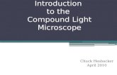 Introduction  to the  Compound Light Microscope