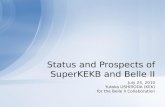 Status and Prospects of  SuperKEKB  and Belle II