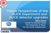 Future Perspectives of the ALICE Experiment  and  ALICE detector upgrades
