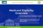 Medicaid Eligibility Overview