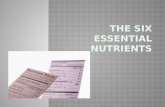 The Six Essential Nutrients