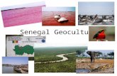 Senegal  Geoculture