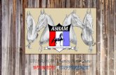 2013 ASHAM Charity Horse Show WE MADE  A DIFFERENCE