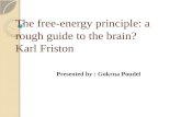 The free-energy principle: a rough guide to the brain? Karl  Friston