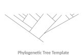 Phylogenetic Tree Template