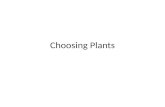 Choosing Plants