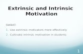 Extrinsic and Intrinsic  Motivation
