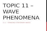 Topic 11 – Wave Phenomena