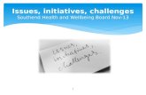 Issues , initiatives,  challenges Southend Health and Wellbeing Board Nov-13