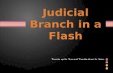 Judicial Branch in a Flash