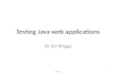 Testing Java  web applications