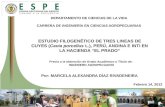 DEPARTAMENTO  DE CIENCIAS DE LA  VIDA CARRERA DE INGENIERÍA EN CIENCIAS AGROPECUARIAS