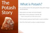 The Potash Story