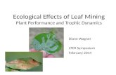 Ecological Effects of Leaf Mining Plant Performance and Trophic Dynamics