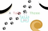 A Tale of Three Tails